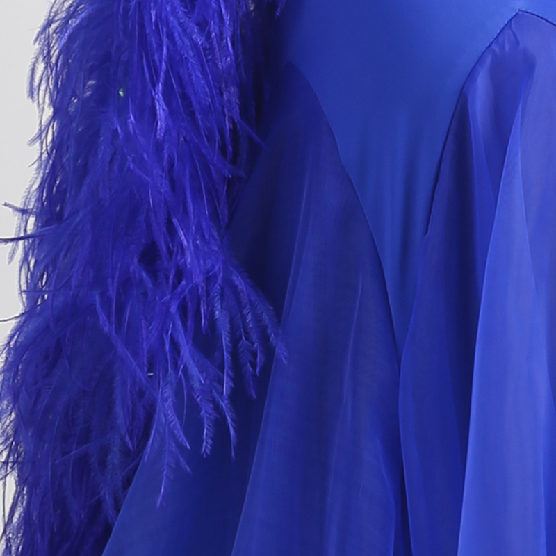 Luxury Standard Ballroom Waltz Modern Dance Dress Suit Stage Costume Competition Flamenco Dance Wear 0462 - Image 5