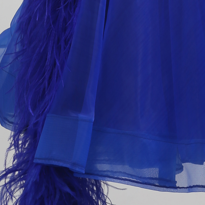 Luxury Standard Ballroom Waltz Modern Dance Dress Suit Stage Costume Competition Flamenco Dance Wear 0462 - Image 6